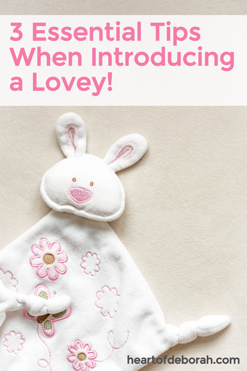 3 Essential Tips When Introducing A Lovey To Your Child