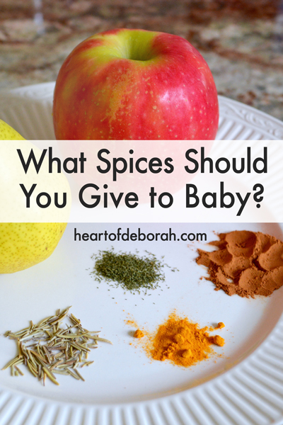 What spices should you add to your homemade baby food? Here is a list of first flavors to add to your baby's diet along with tips for adding spices in baby food. Heart of Deborah