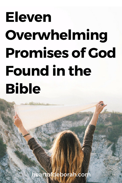 When life is hard and you need encouragement, rest on these 11 overwhelming promises of God. Read the Bible and find comfort for your soul!