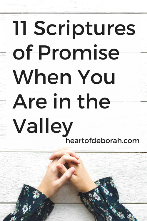 God made wonderful promises to His people. Pray His promises, encourage yourself and claim them in your life! Here are 11 promises of God found in the Bible.