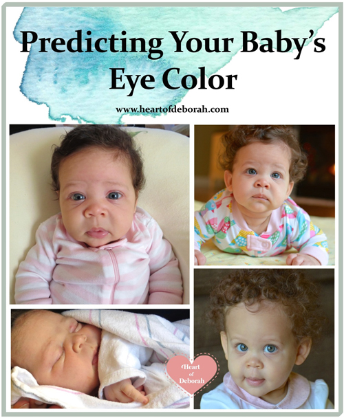 Baby Eye Color Prediction