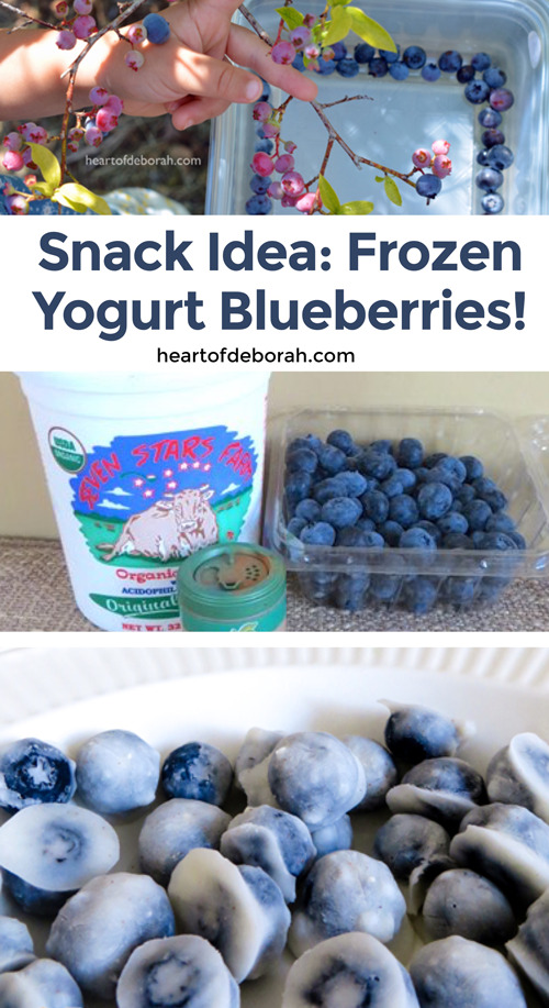 Looking for a healthy snack that satisfies your sweet tooth? You need to try these frozen yogurt blueberries. Perfect for kids and adults! #recipe #healthysnack #snacksforkids #snackidea