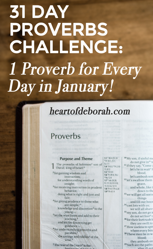 Not a fan of New Year's Resolutions? Start off the New Year by reading a proverb a day for the month of January. Join me in this proverbs challenge to gain wisdom and understanding from God's word.