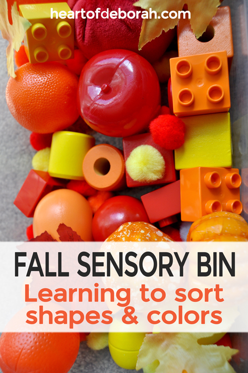 Toddler fall sensory bin perfect for fun and learning. Organize the objects by common mathematical characteristics such as circles and squares or big and little. 