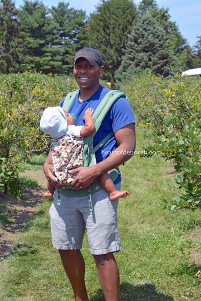 Blueberry picking with kids.