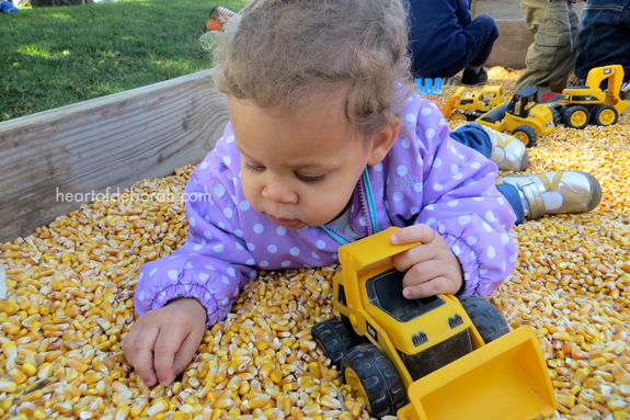 Visiting a local pumpkin patch! They had plenty of activities for kids.