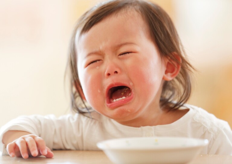 How to Stop Meal Time Battles