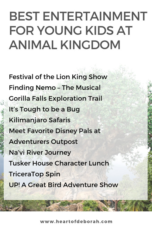 The best rides and shows at Disney World's Animal Kingdom for young kids! Preschoolers and toddlers will love these activities.