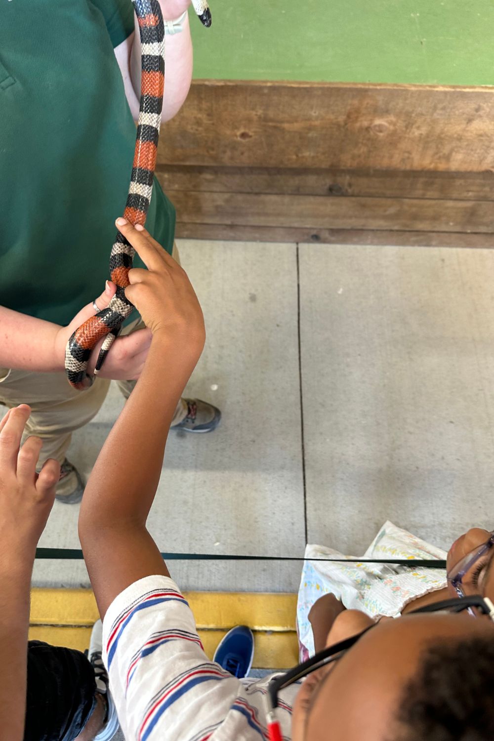 Family visiting the life-size Noah's Ark at the Ark Encounter in Kentucky, exploring immersive exhibits and interactive displays. The kids are amazed by the massive Ark and engaging storm simulation experience, making for an unforgettable family vacation.